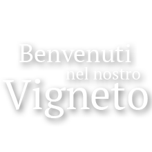 Benvenuti nel nostro Vigneto